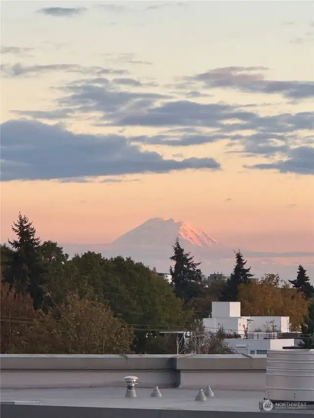 Gorgeous sunset glow highlighting Mount Rainier, providing an unbeatable natural backdrop.