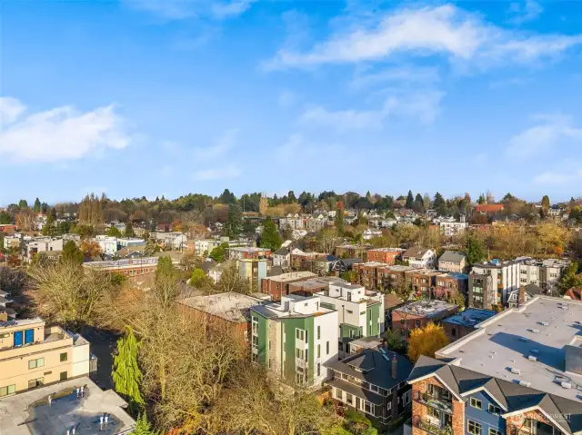 A stunning bird’s-eye view of the surrounding neighborhood showcases vibrant greenery and a variety of charming homes.