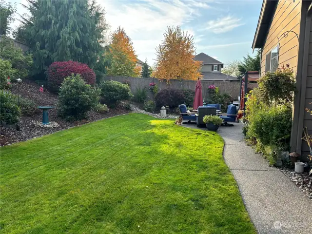 summer view of backyard landscaping