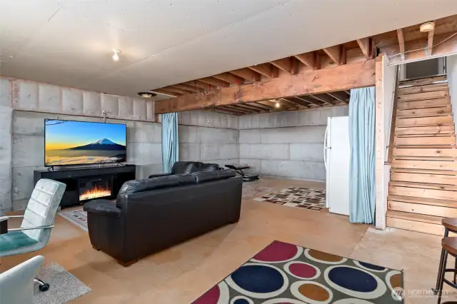 Unfinished Basement