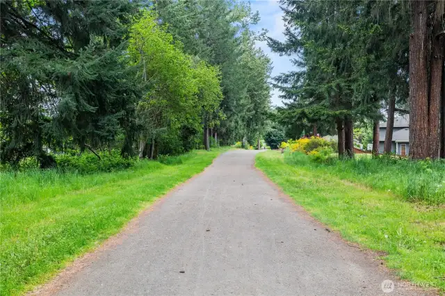 Trail Systems
