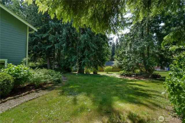 Side yard to the large backyard with plenty of space for outdoor relaxing, entertaining, or activities.