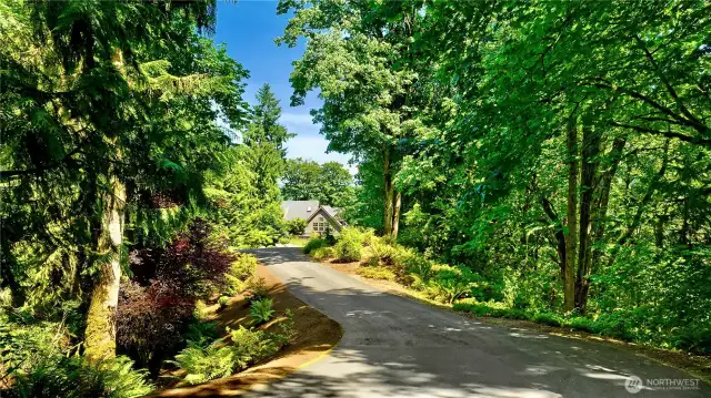 Long, lovely private drive!