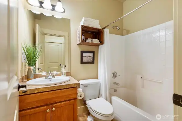 Lower level Bathroom