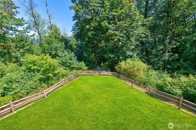 Backyard view from deck