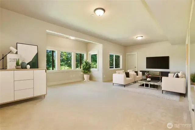 Lower Level Bonus Room Virtually Staged. May make a great MIL!
