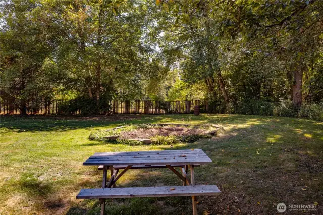 Nice big firepit for entertaining
