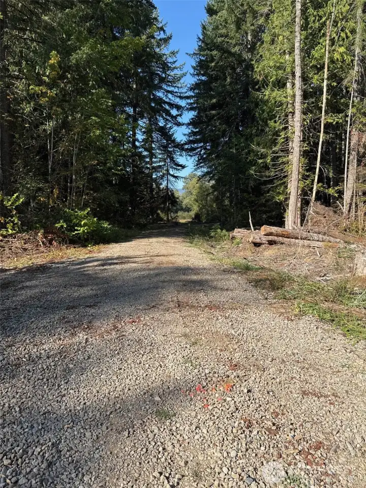 Gravel road on property