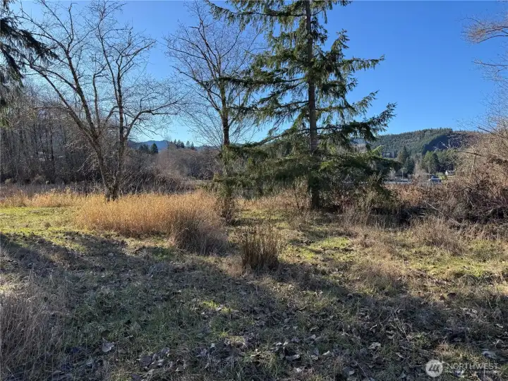 Level areas by the creek and Mineral Lake