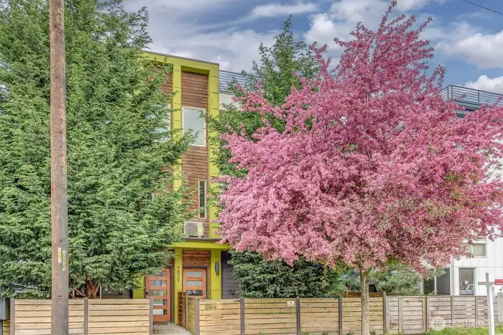 Beautiful three bedroom townhome in the heart of West Seattle