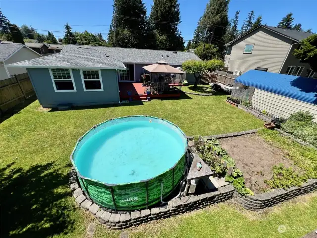 Backyard has fruit trees, garden space, working swimming pool & outbuildings!