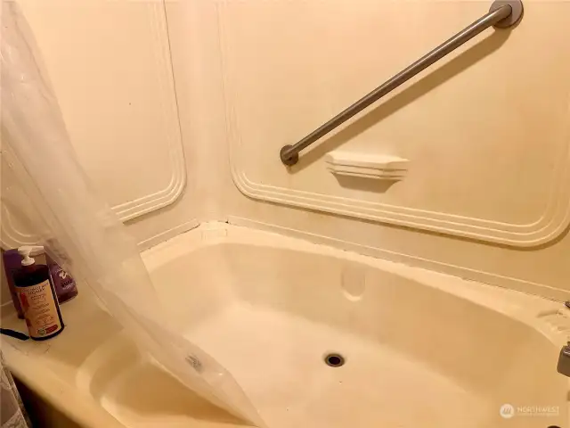 bath in owners suite