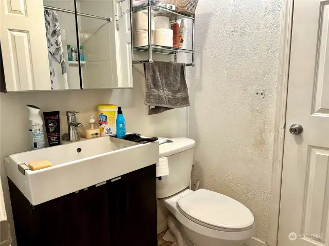 Hall bathroom
