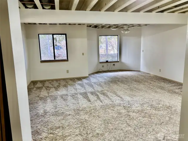 Family room lower level