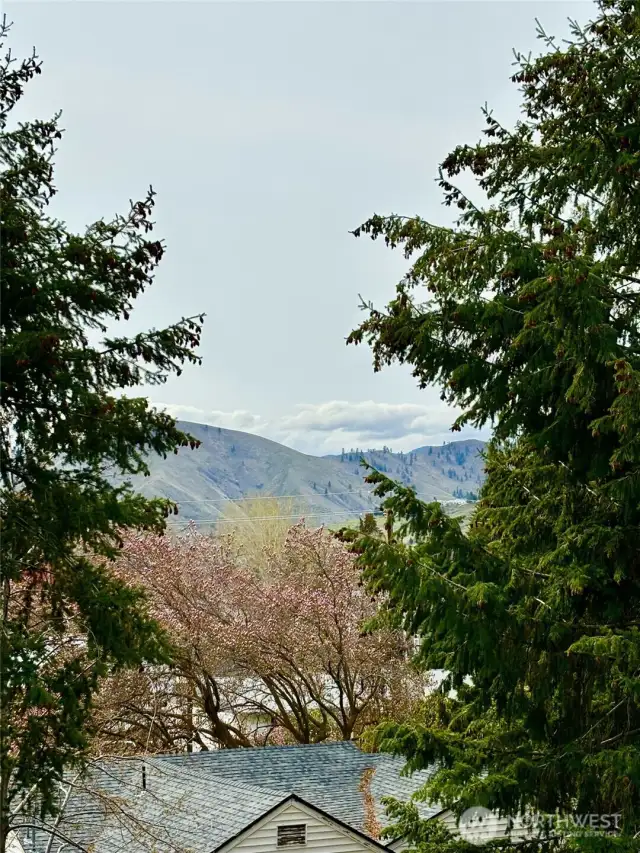 Through the trees