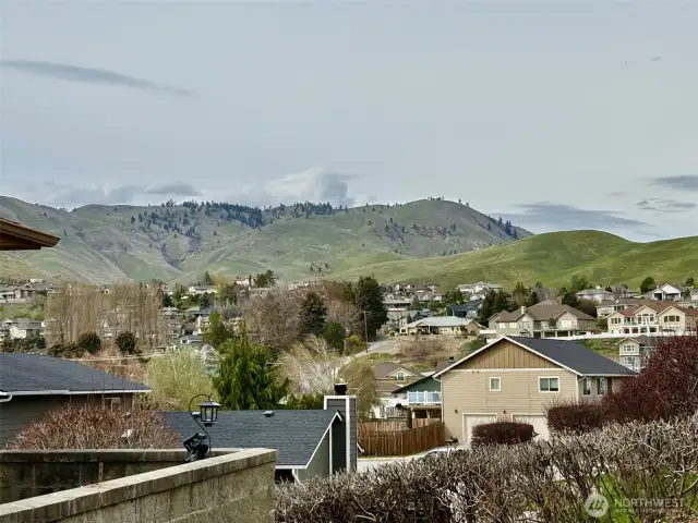 Springtime view