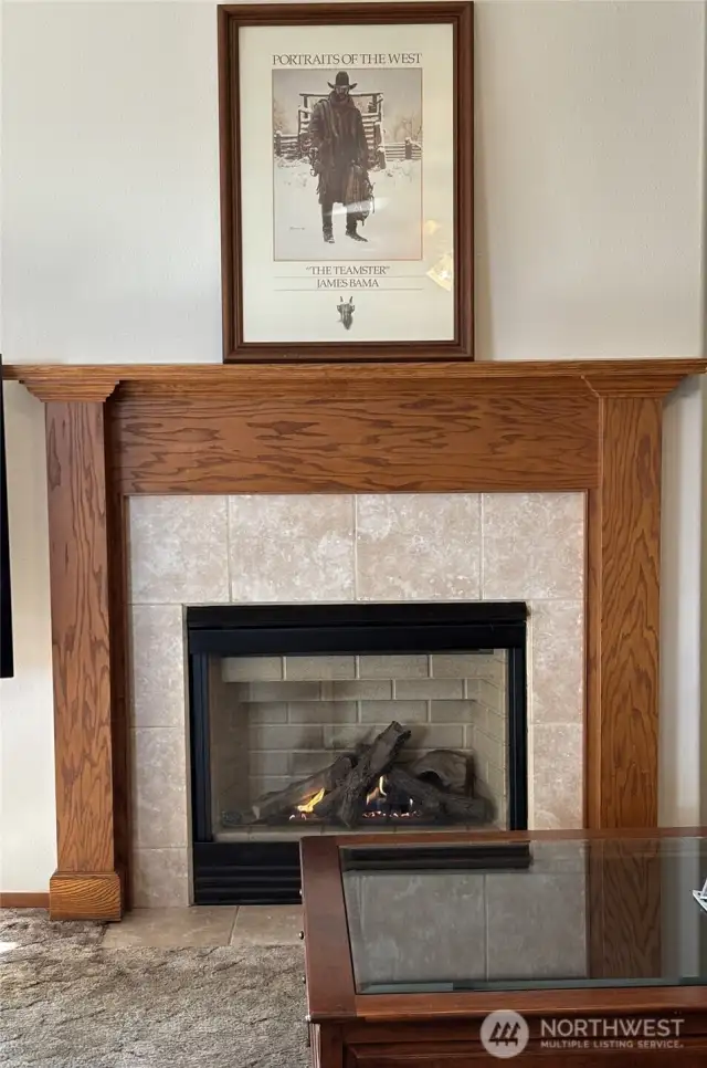 Gas Fireplace