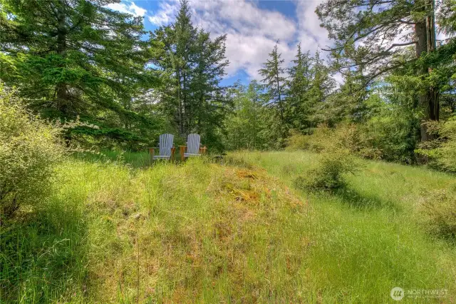 Lot slopes slightly to the east. Follow trails through the woods of what feels like your own 292 acre park! This hidden spot away from the roads is teeming with wildlife. Kick back and listen to the birds and sounds of the forests.