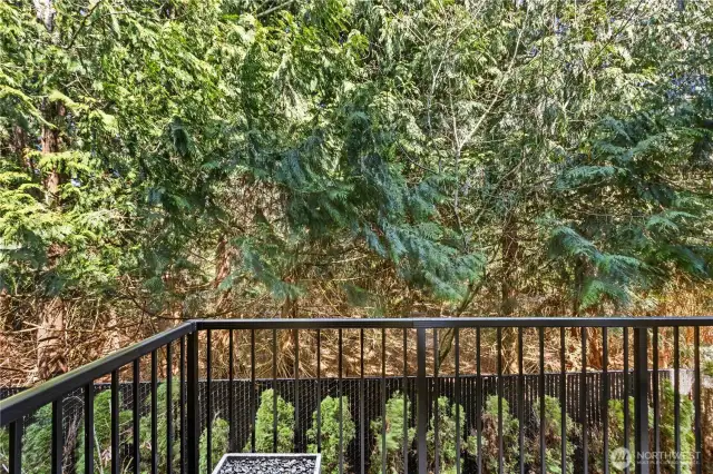 End the day with a drink on the quiet back deck and watch the wildlife go by.