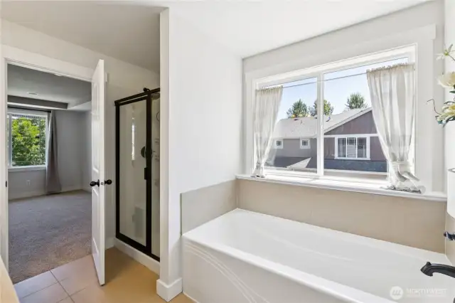 Master bathroom