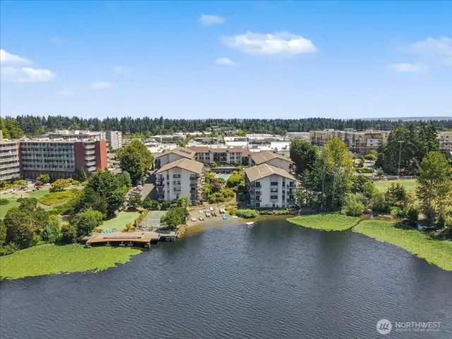 Drone view from lake to property