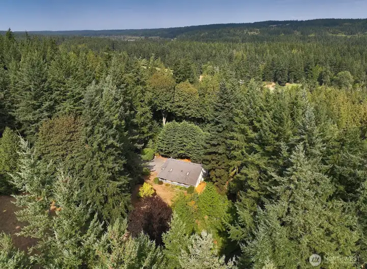 From above, looking at the west side of your home/property.