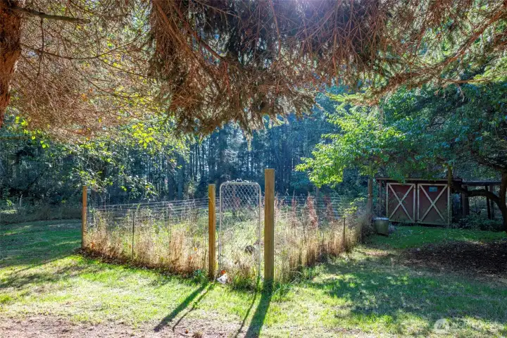 Garden and chicken coop.