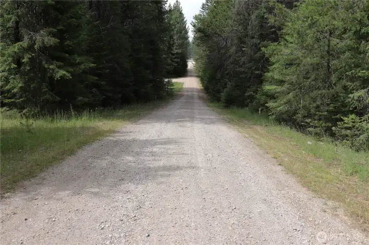 Diamond Drive - Well maintained road