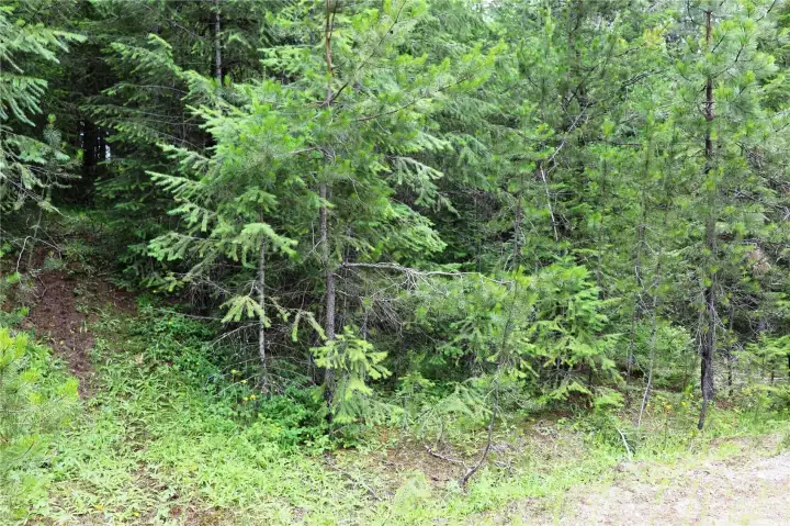 Diamond Lake Lot 8B