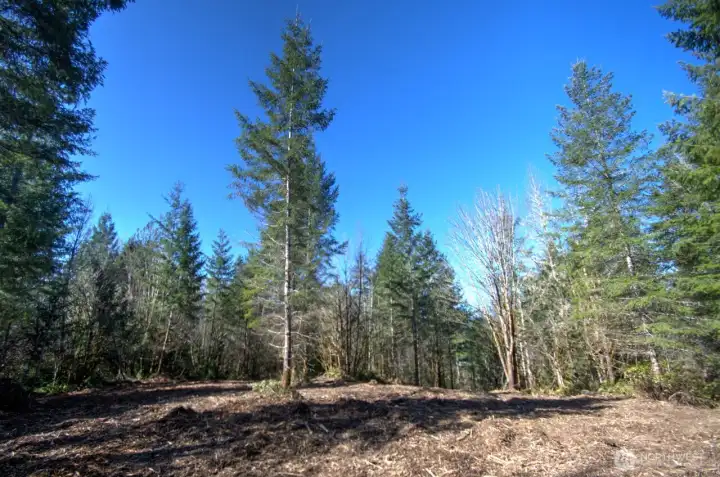 Potential Buidling Site