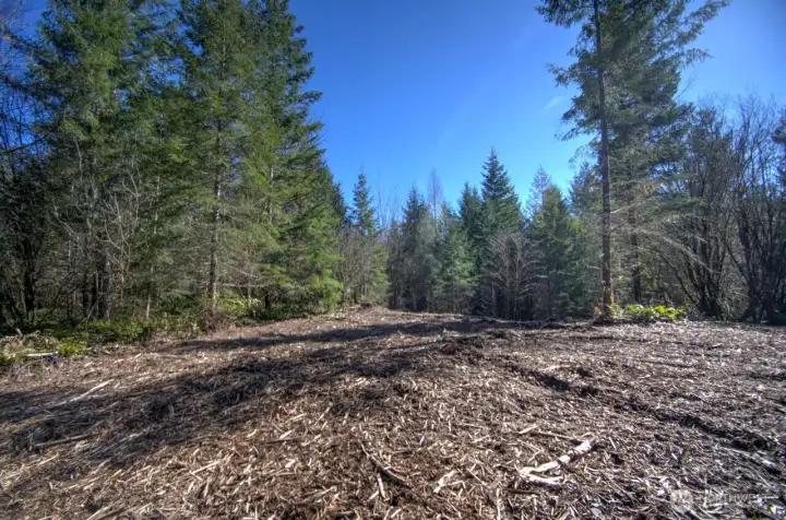 Potential Building Site