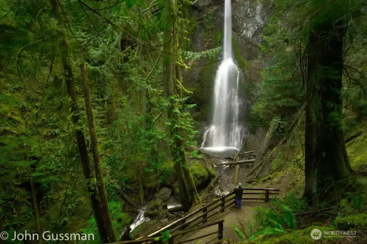 Marymere Falls Nearby Scenic Attraction