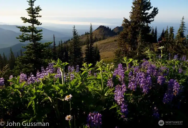 Deer Park Nearby Hiking Trails