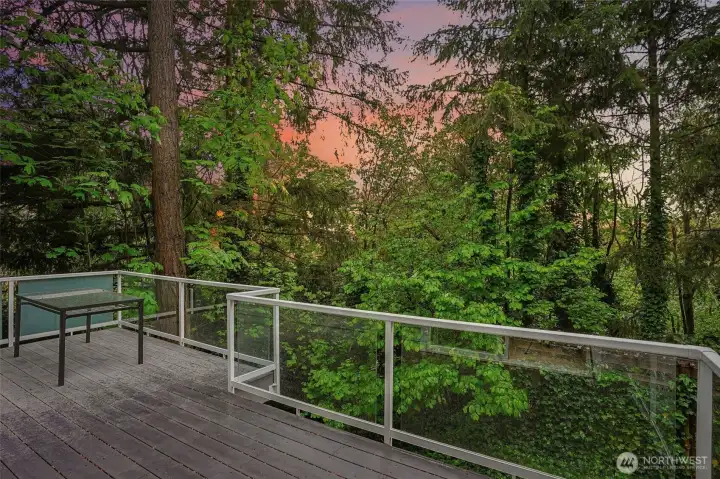 Nice Size Deck off the kitchen and one on the lower level for privacy and year round entertainment!