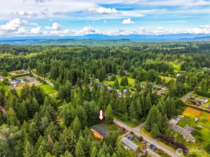 Ideally located in a peaceful setting surrounded by mature evergreens while remaining just minutes from schools, shopping, and Hwy 522.