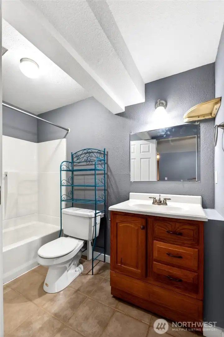 Full basement bathroom.