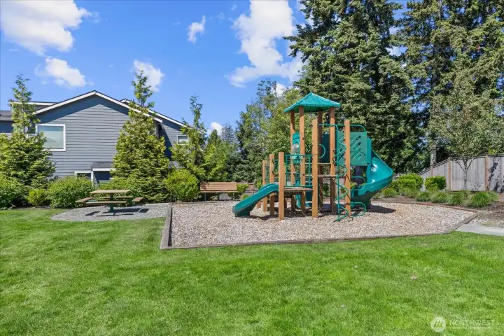 Community Park