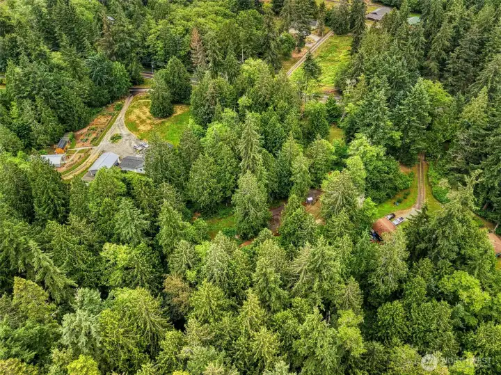 Wander meandering pathways beneath a canopy of towering evergreens. Wander meandering pathways beneath a canopy of towering evergreens.