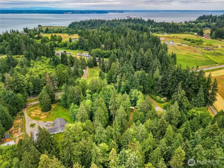 Strategic clearing creates the perfect blend of sun-filled open spaces and tranquil woodland privacy. Strategic clearing creates the perfect blend of sun-filled open spaces and tranquil woodland privacy.