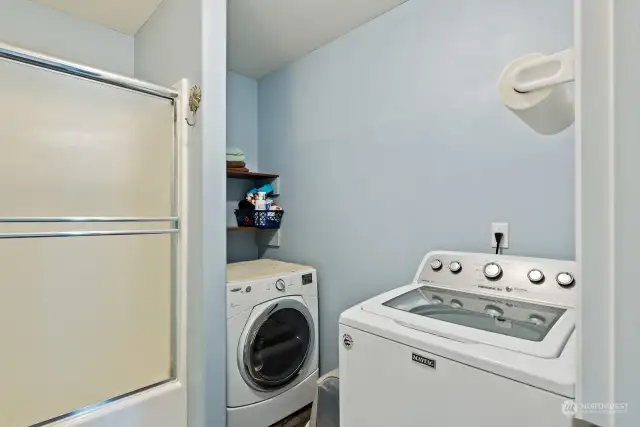 Downstairs Bathroom with Laundry