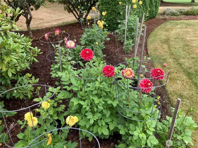 Seller photo of the beautiful flowers in bloom on the property.