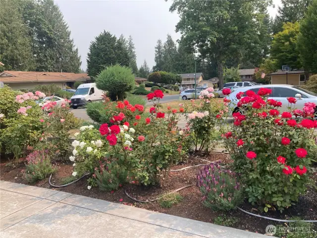 Seller photo of the beautiful flowers in bloom on the property.