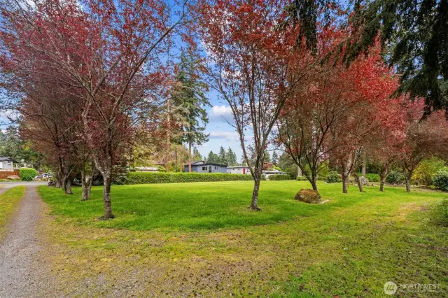 Multiple potential locations on level lot for DADU/in-law with water meter stub at street.