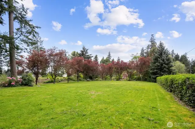 Expansive and level 1.23 acre property provides opportunity for potential DADU, garden space, outdoor recreation, and more!