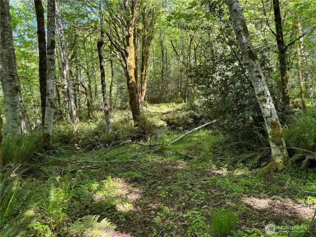 view of middle tier