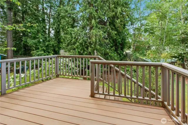 New composite decking! this is the upper level.