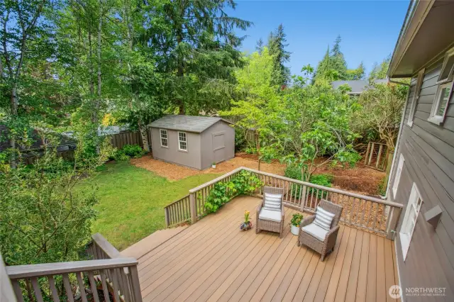 Gorgeous fig tree behind the deck. Lots of room for a sectional or a table set.