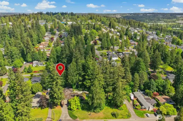 Quiet part of Bothell with sleepy streets with low traffic.