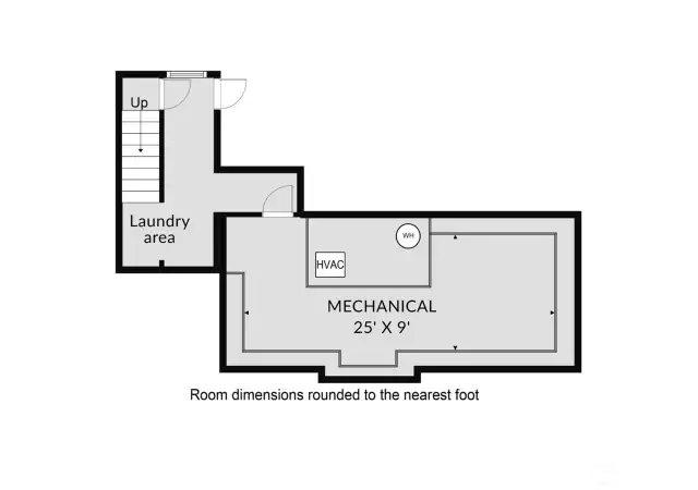 Shared laundry space & basement storage.