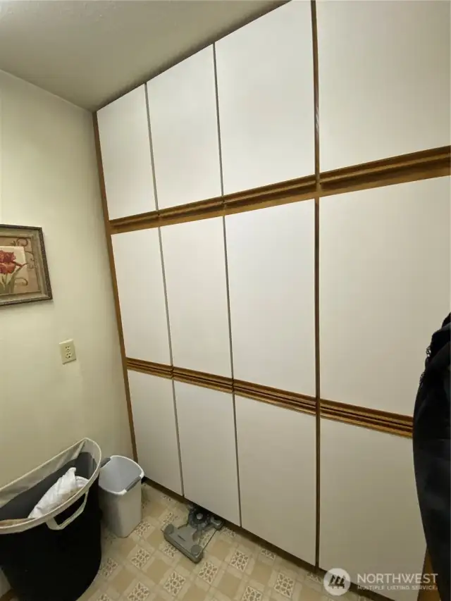Plenty of storage in laundry room!
